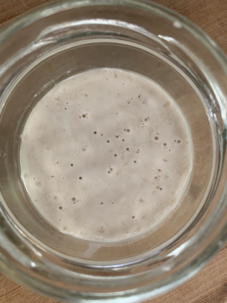 Day 2 of sourdough starter, no activity, top view