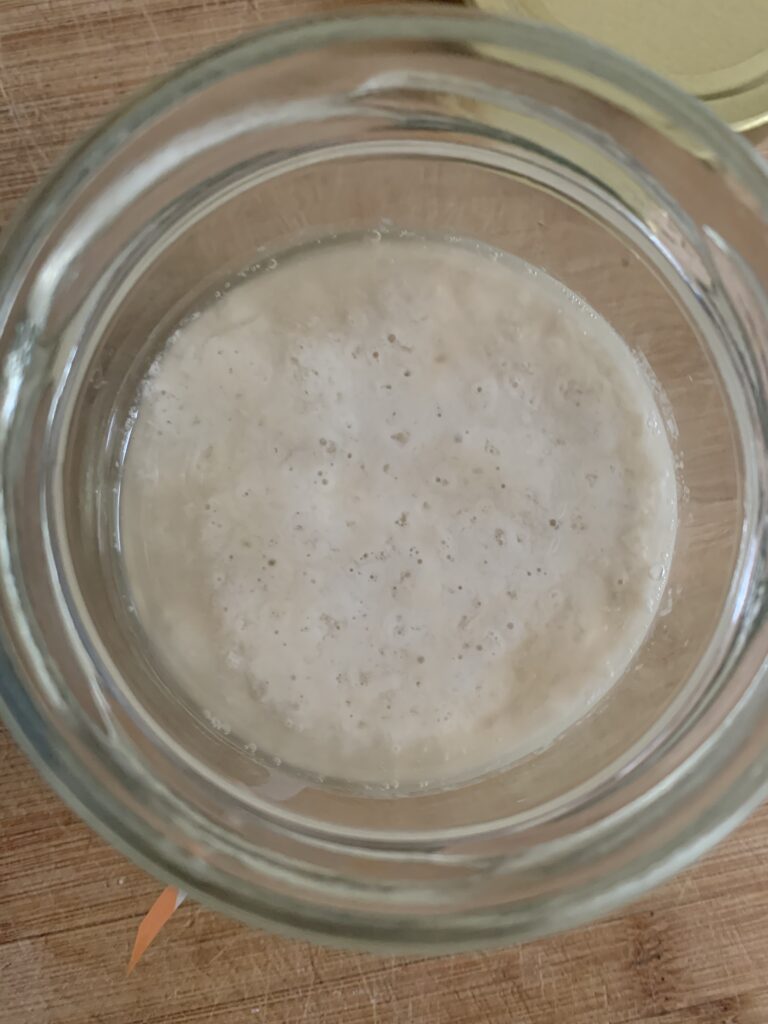 Day 3 of sourdough starter, still no activity, top view