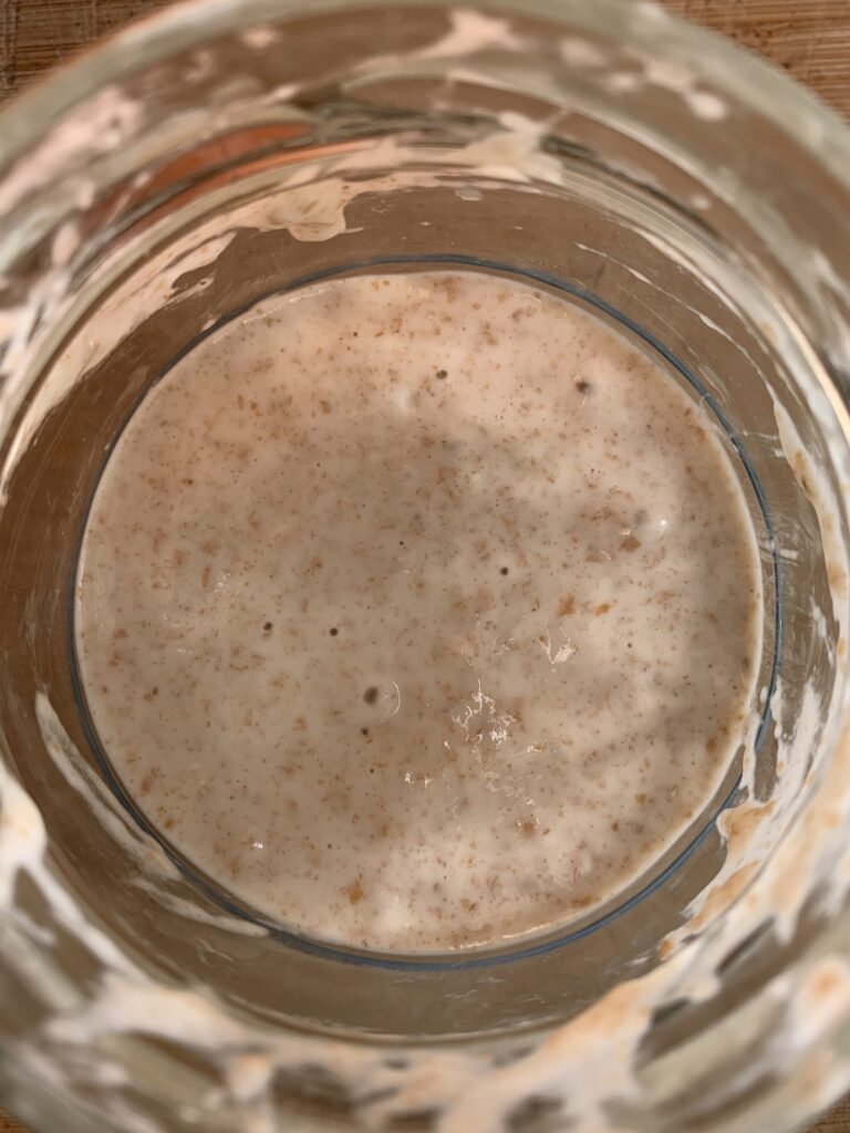 Day 5 of sourdough starter, no signs of activity, top view