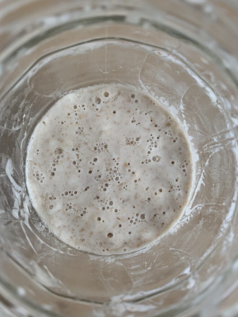 Day 8 sourdough starter, more bubbles on surface, top view