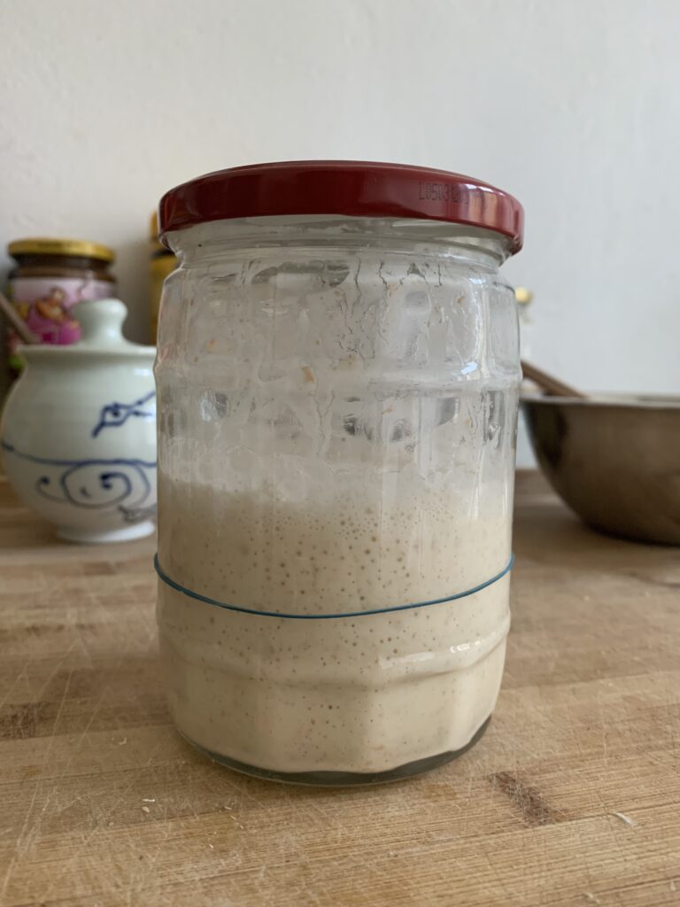 Day 9 sourdough starter at 09:00, roughly doubled in size