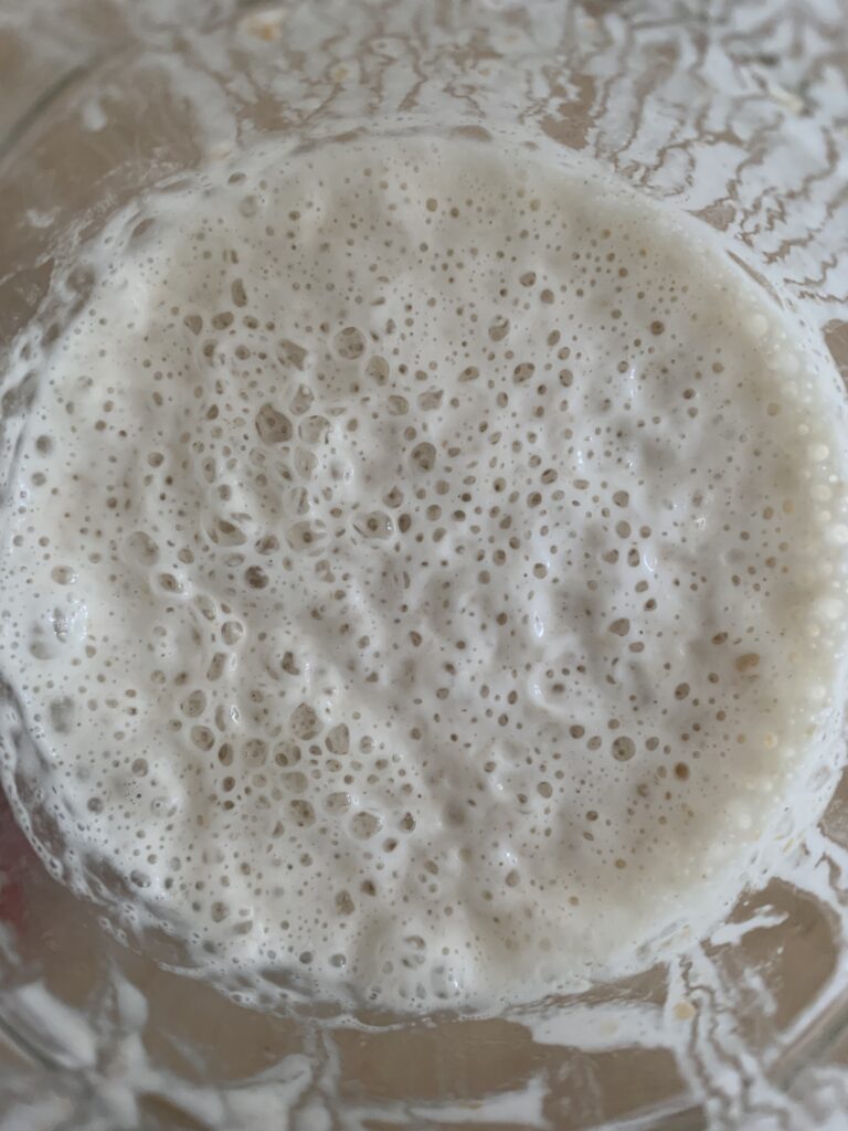 Day 9 sourdough starter at 09:00, very active, many small bubbles on surface, top view