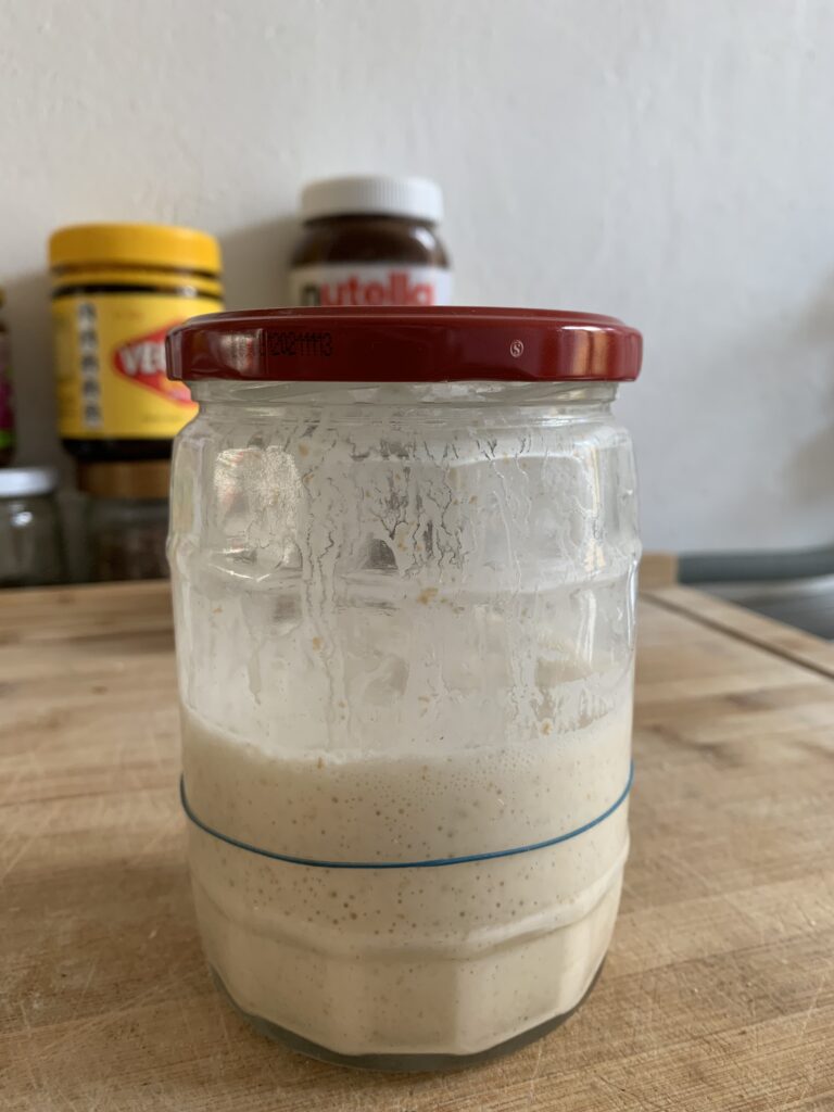 Day 9 sourdough starter at 11:30 (feeding time), still active but collapsed a bit since 09:00