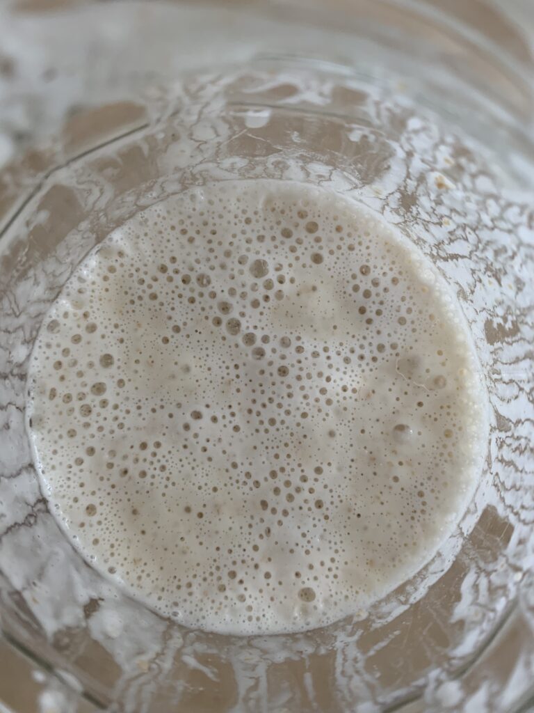 Day 9 sourdough starter at 11:30 (feeding time), still active but collapsed a bit since 09:00, still lots of bubbles on surface, top view