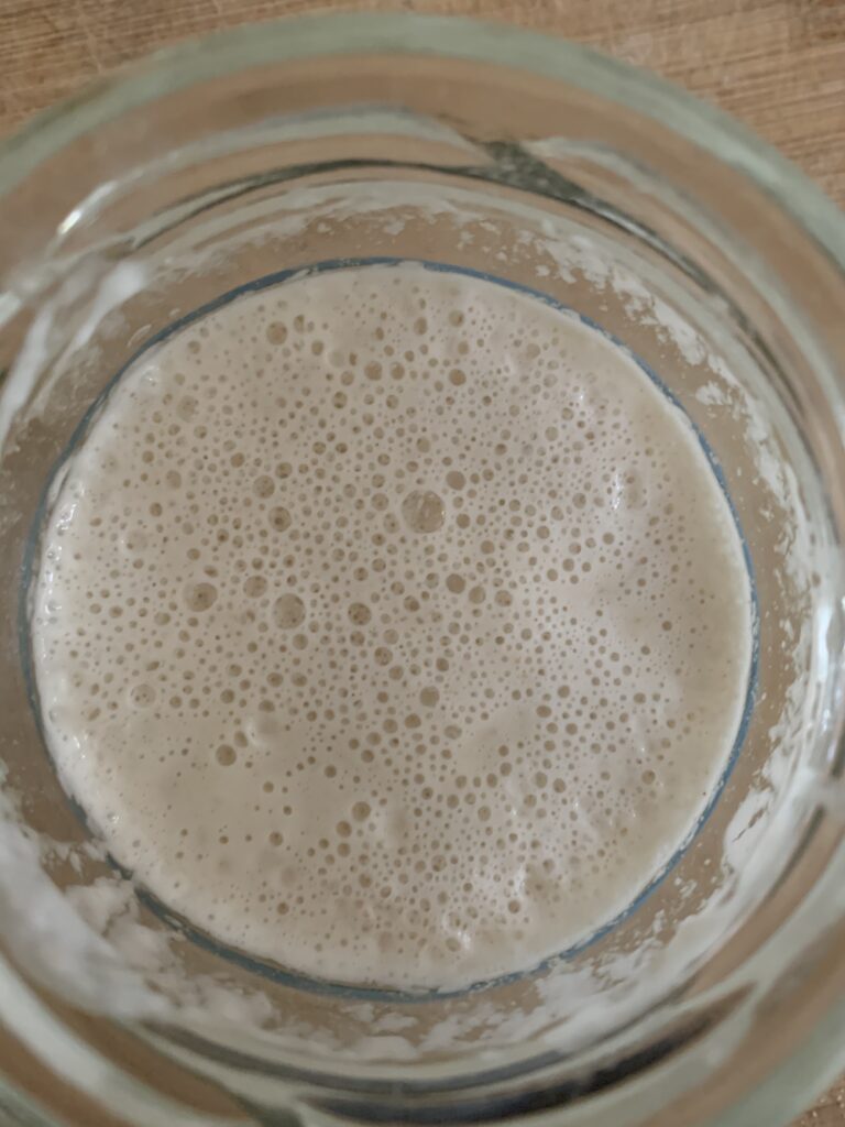 Day 10 sourdough starter, collapsed to original volume, many small bubbles on surface, top view