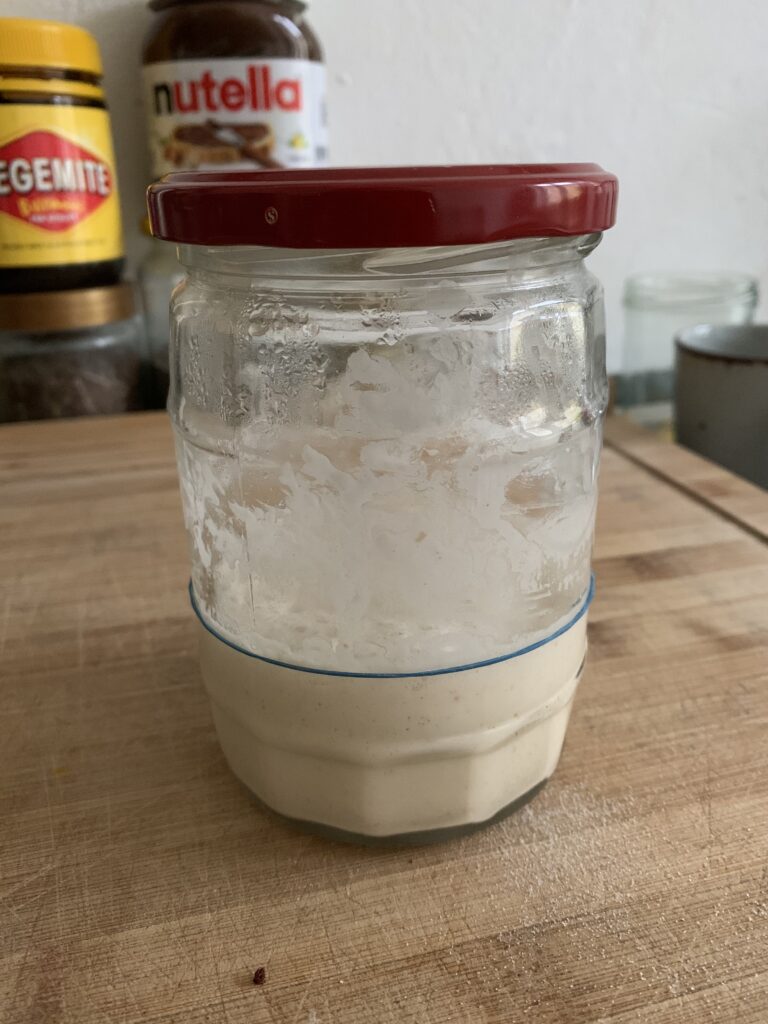 Day 11 sourdough starter at 11:30, at original height