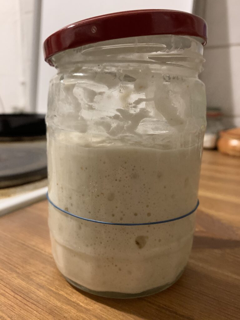 Day 11 sourdough starter at 16:30, more than doubled