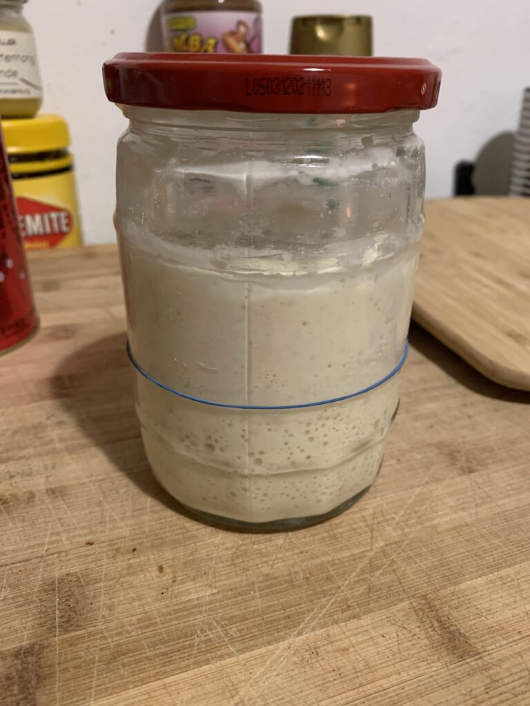 Day 12 sourdough starter at 23:00, more than double in size