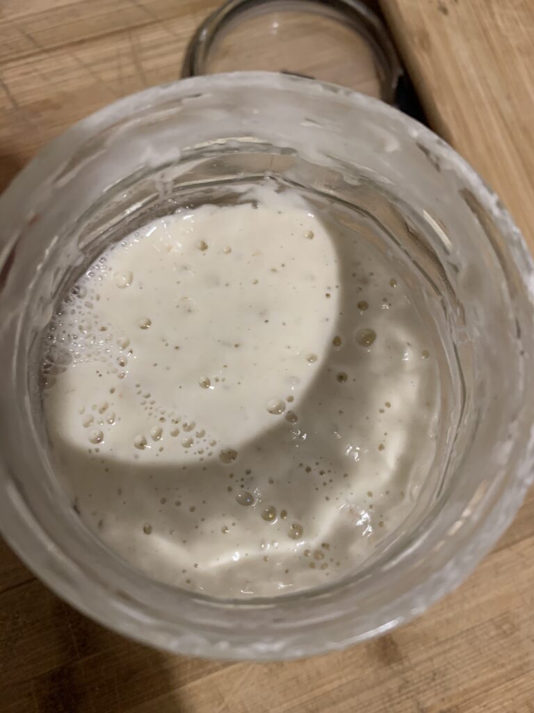 Day 12 sourdough starter at 23:00, more than double in size, medium amount of bubbles on the surface, top view