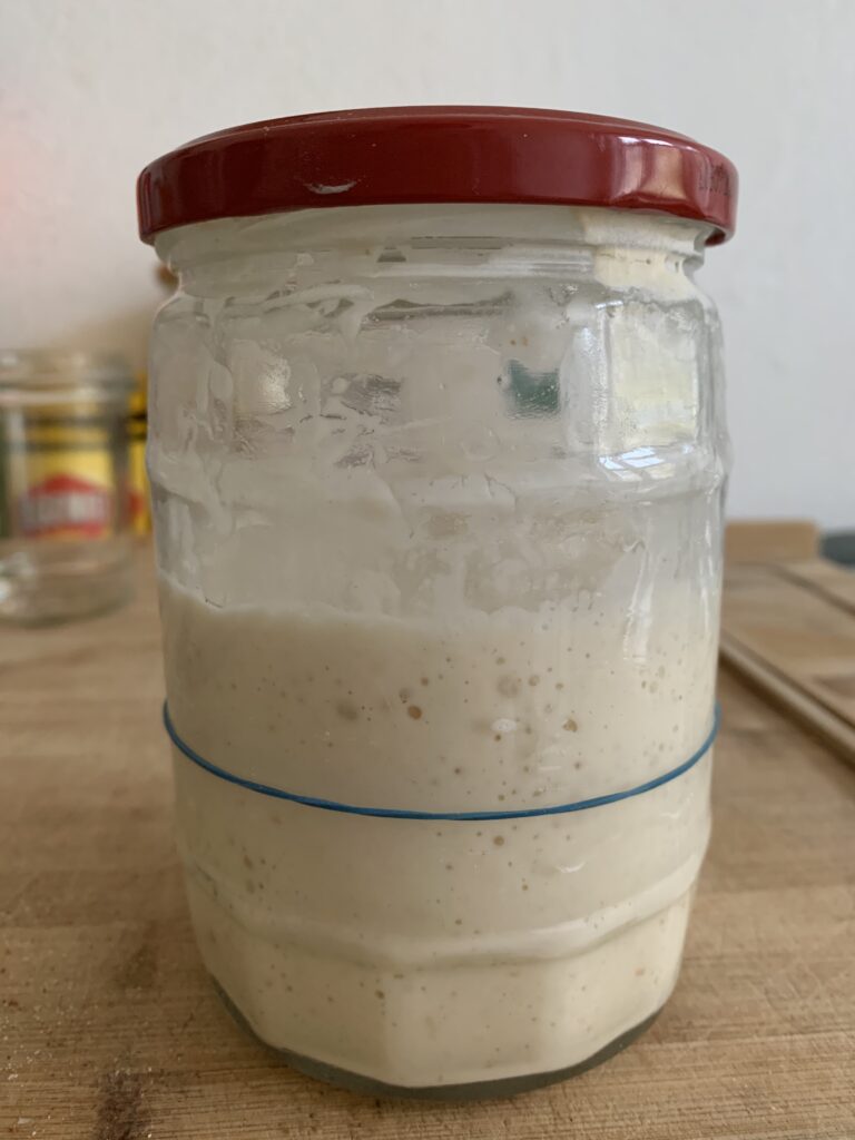 Day 13 sourdough starter at 11:30, collapsed to just under double in height