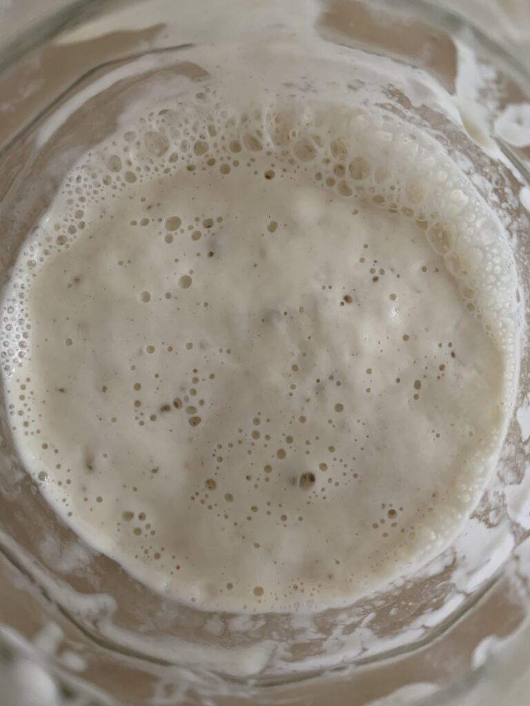 Day 13 sourdough starter at 11:30, medium amount of bubbles on the surface, top view