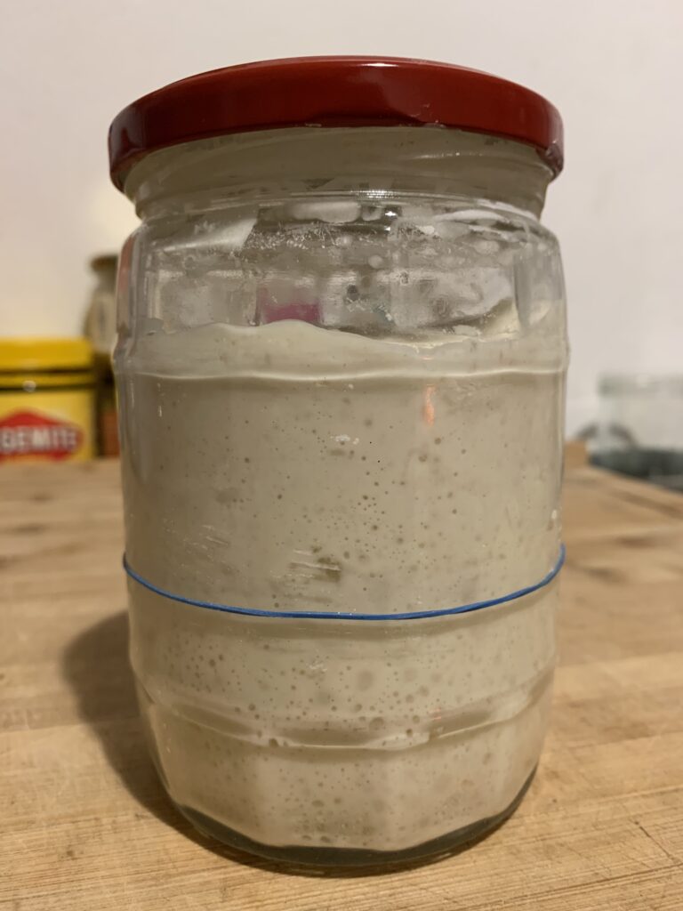 Day 13 sourdough starter at 21:30, almost tripled in volume