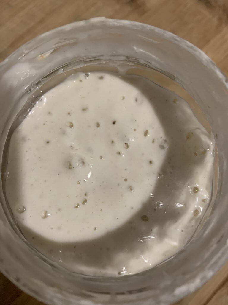 Day 13 sourdough starter, some bubbles on the surface, top view