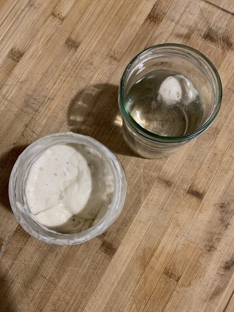 Day 13 sourdough starter at 21:30, float test successful